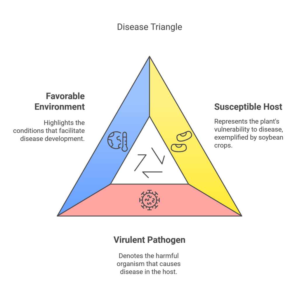 the disease triangle