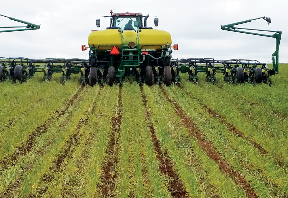 no-till farming