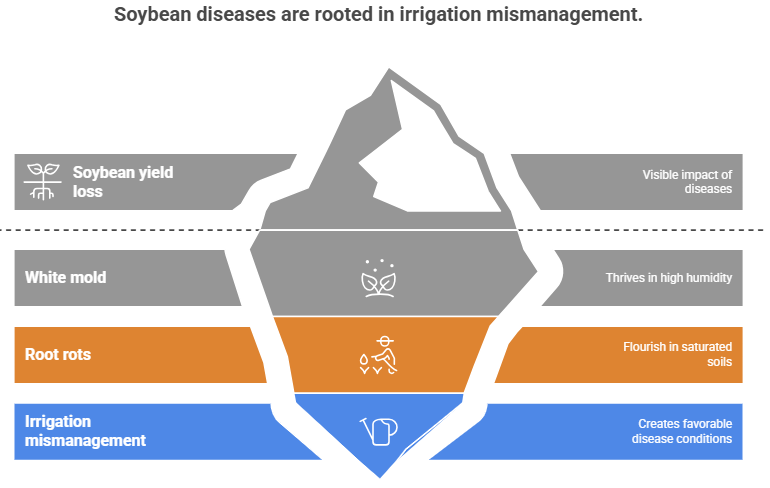 Tip of the iceberg showing how irrigation mismanagement leads to soybean diseases and yield loss. The base layer labeled ‘Irrigation mismanagement’ highlights that poor water control creates favorable disease conditions. Above it, ‘Root rots’ flourish in saturated soils and ‘White mold’ thrives in high humidity. At the top, the visible result is ‘Soybean yield loss’ from disease impact.