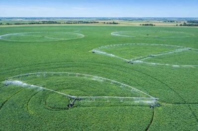 Large-Scale Soybean Farming: Multi-Pivot Layout Designs for Maximum Field Efficiency