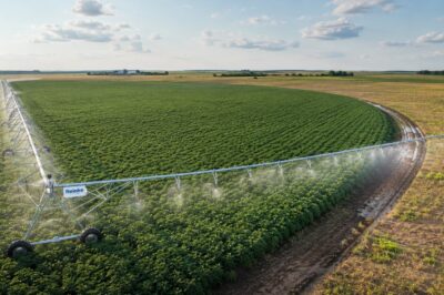Corner Arm Systems for Reinke Center Pivots: How to Maximize Irrigated Acres on Irregular Soybean Fields