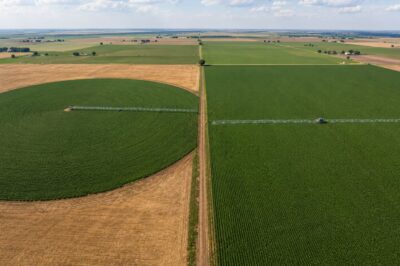 Linear Move vs Center Pivot for Soybeans: Coverage, Cost, Uniformity, and the Rectangular Field Decision