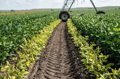 Pivot Wheel Track Compaction and Soybean Yield: Impact, Measurement, and Management
